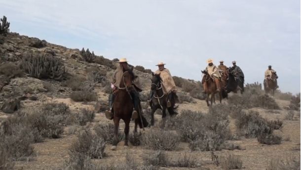 Cabalgata de la Amistad Reúne a Huasos de la Región de Atacama